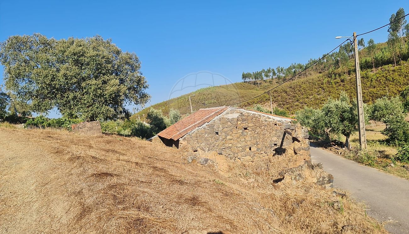 Moradia T3 à venda em Carvoeiro, Mação — foto 6