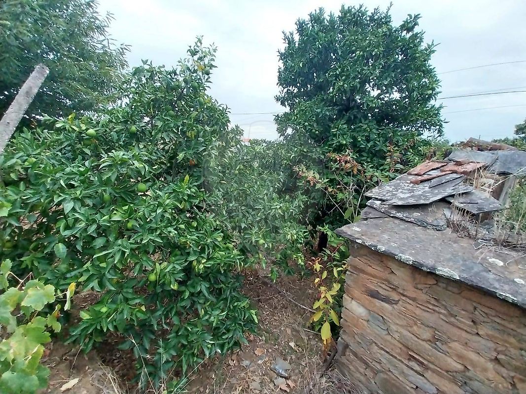 Moradia T2 à venda em Portela do Fojo-Machio, Pampilhosa da Serra — foto 7