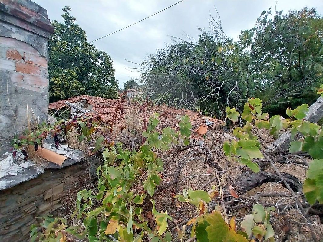 Moradia T2 à venda em Portela do Fojo-Machio, Pampilhosa da Serra — foto 6