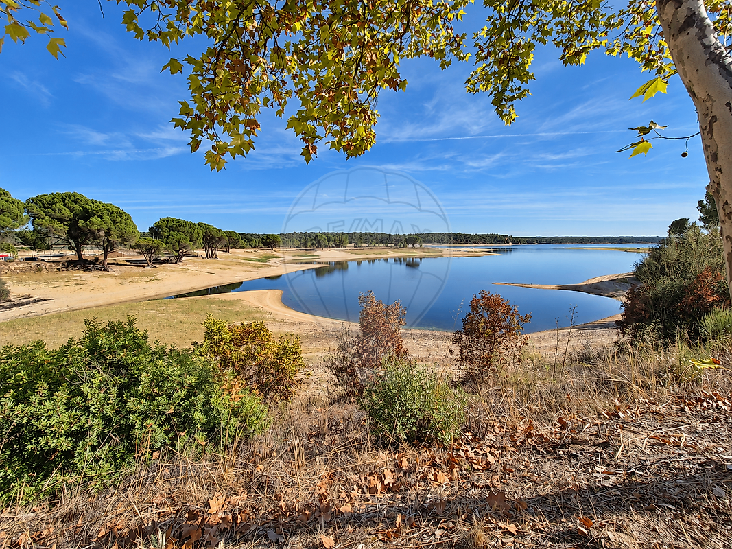 Moradia T3 à venda em Longomel, Ponte de Sor — foto 4