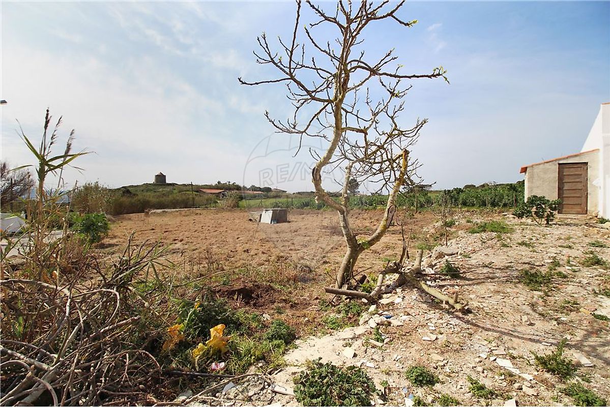 Land for sale in Alcobaça, Portugal — €75,000