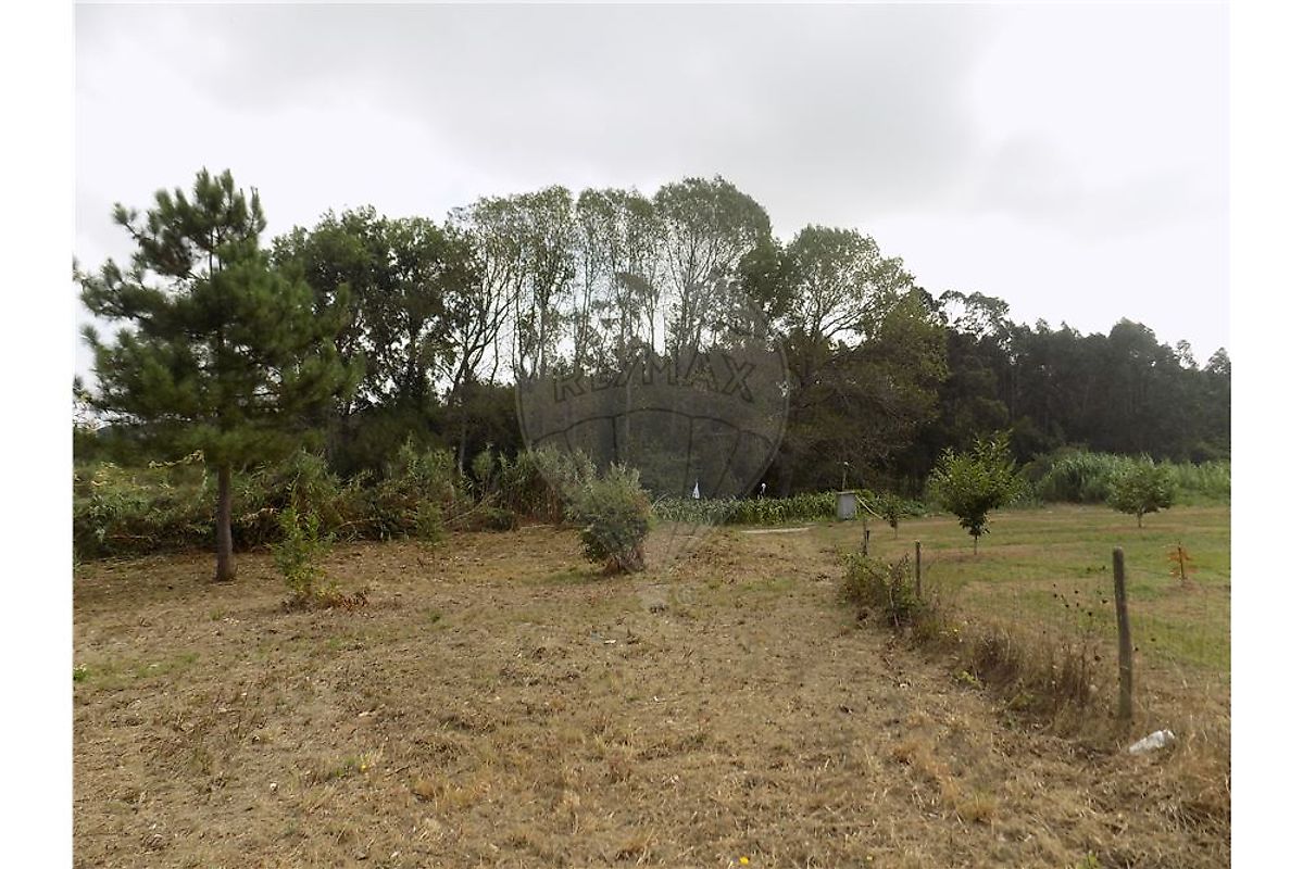 Terreno à venda em Raposos