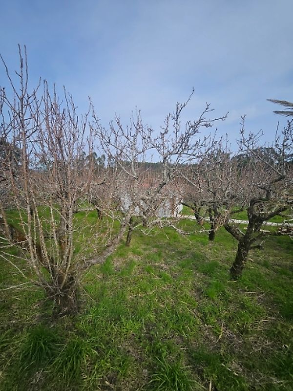 Terreno  à venda em Raposos