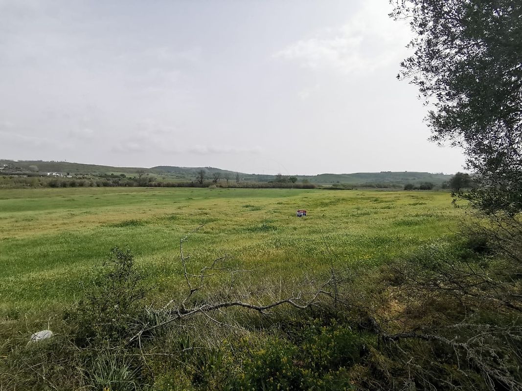 Terreno  à venda em Sabugo