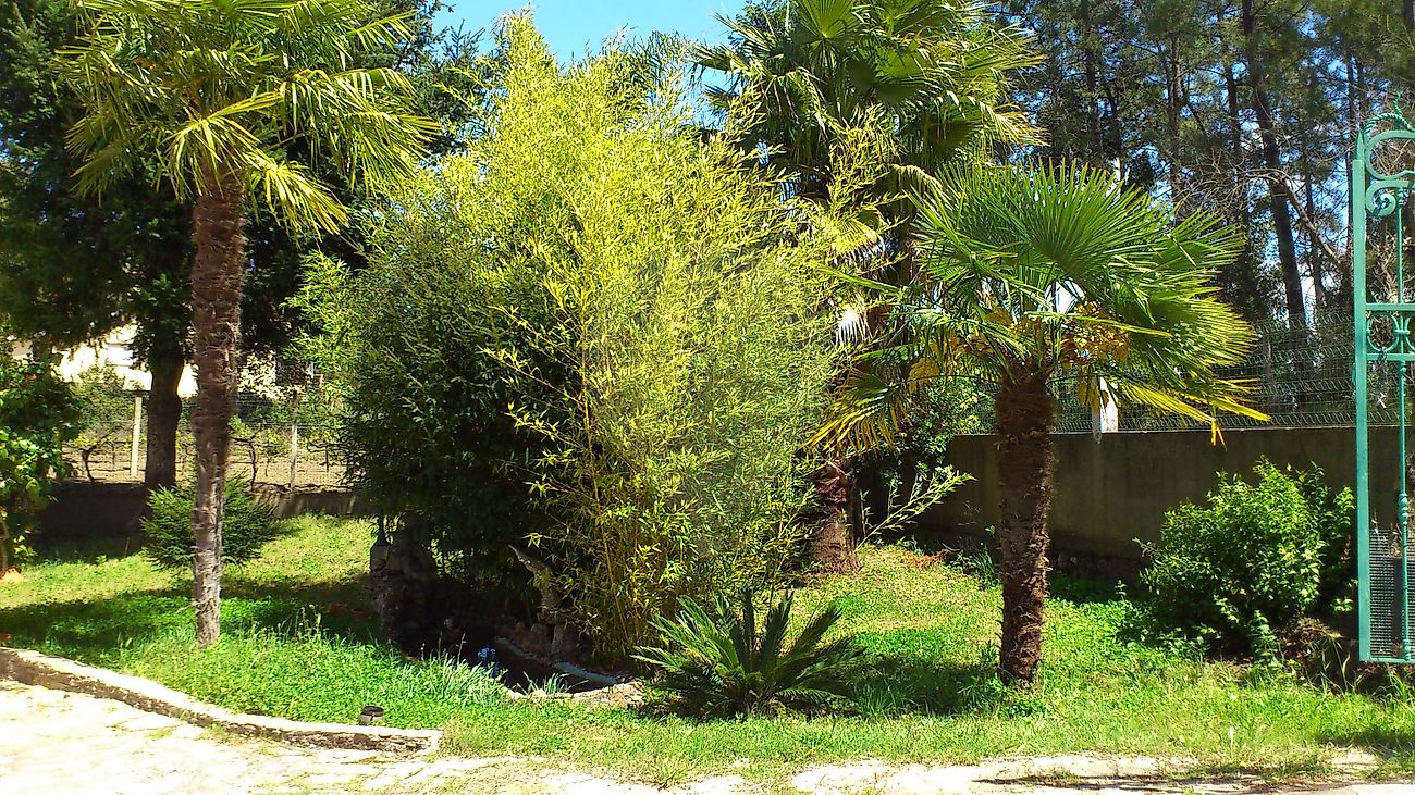 Moradia T6+ à venda em Olalhas, Tomar — foto 6