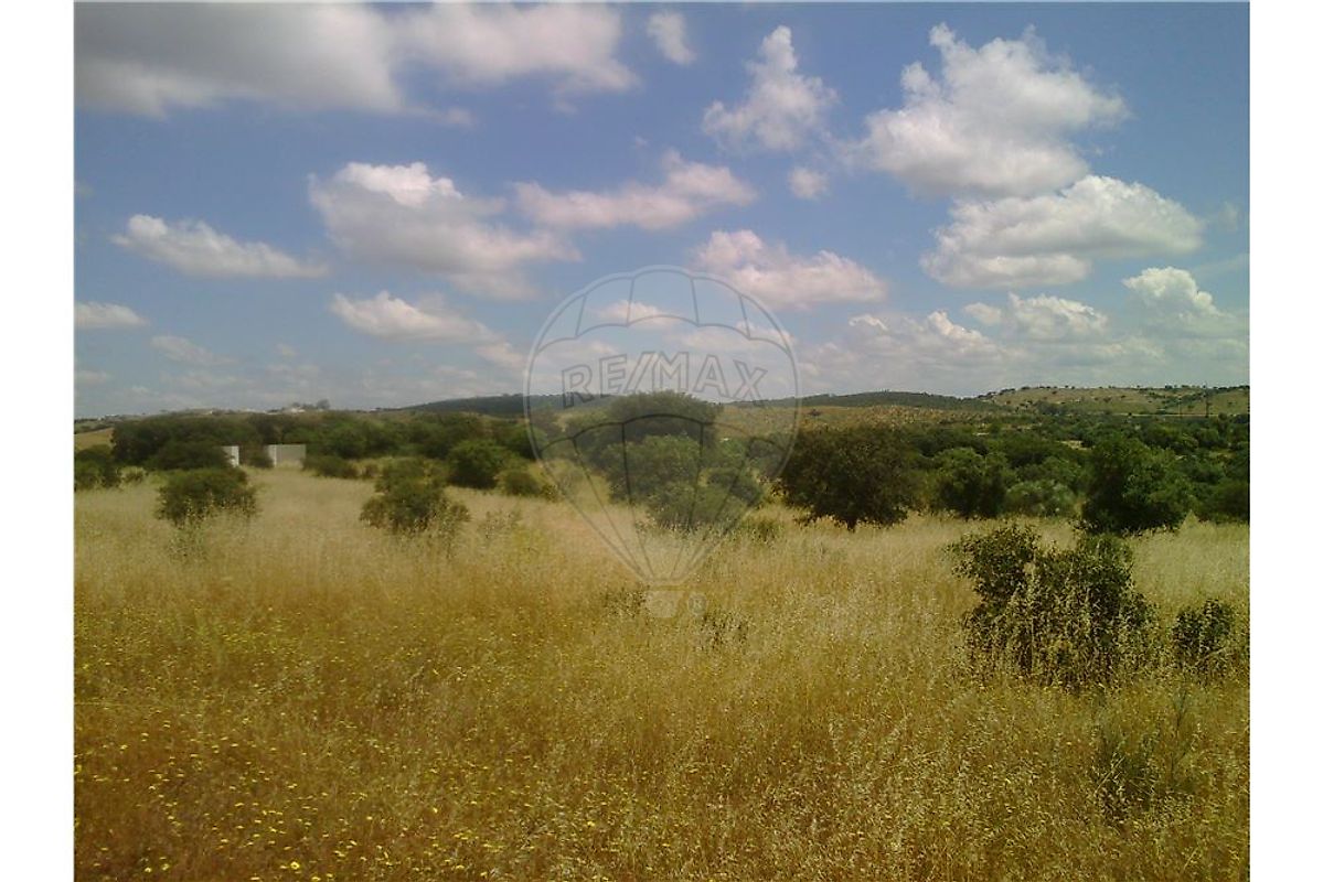 TERRENO COM 36.250 M2 - TERENA - ALANDROAL