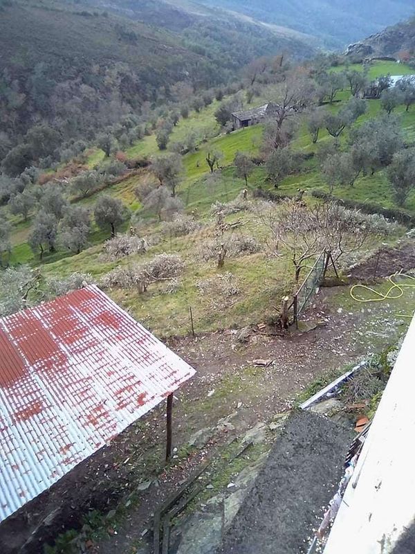 TODO