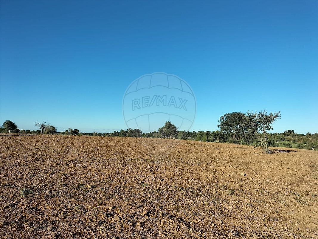 Terreno à venda em Arraiolos