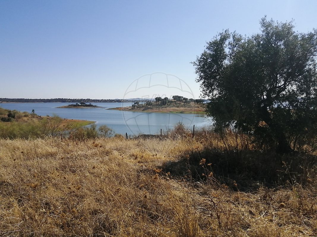 Terreno  à venda em Moura