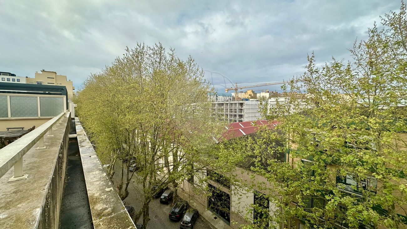 listing 123821036-452 picture-0