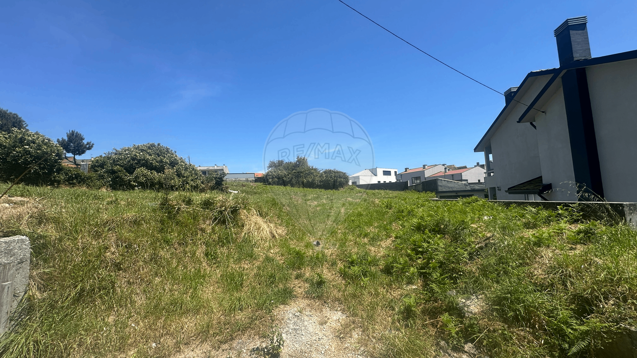 123821036-455