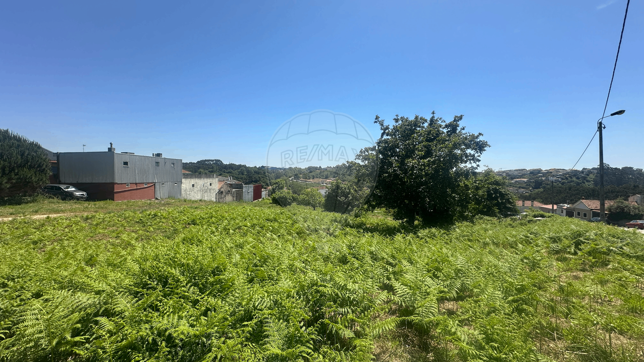 listing 123821036-455 picture-0