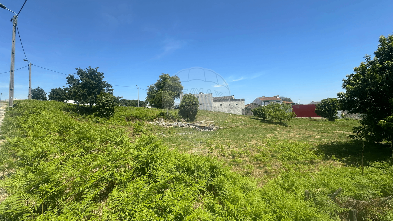listing 123821036-455 picture-0