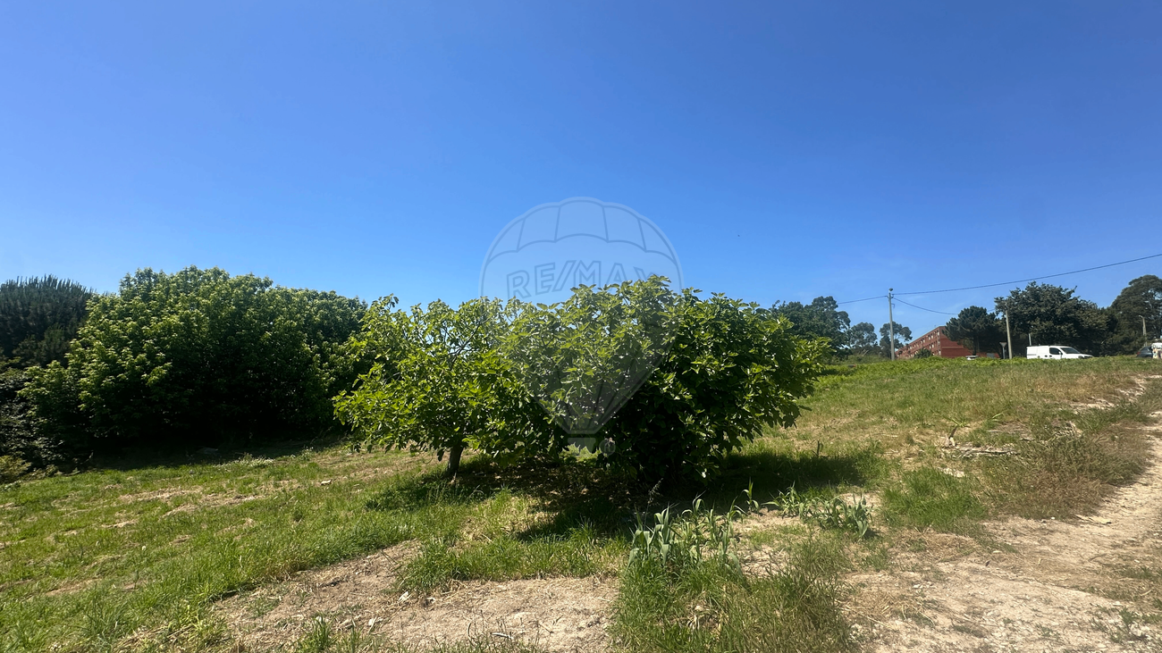 listing 123821036-455 picture-0