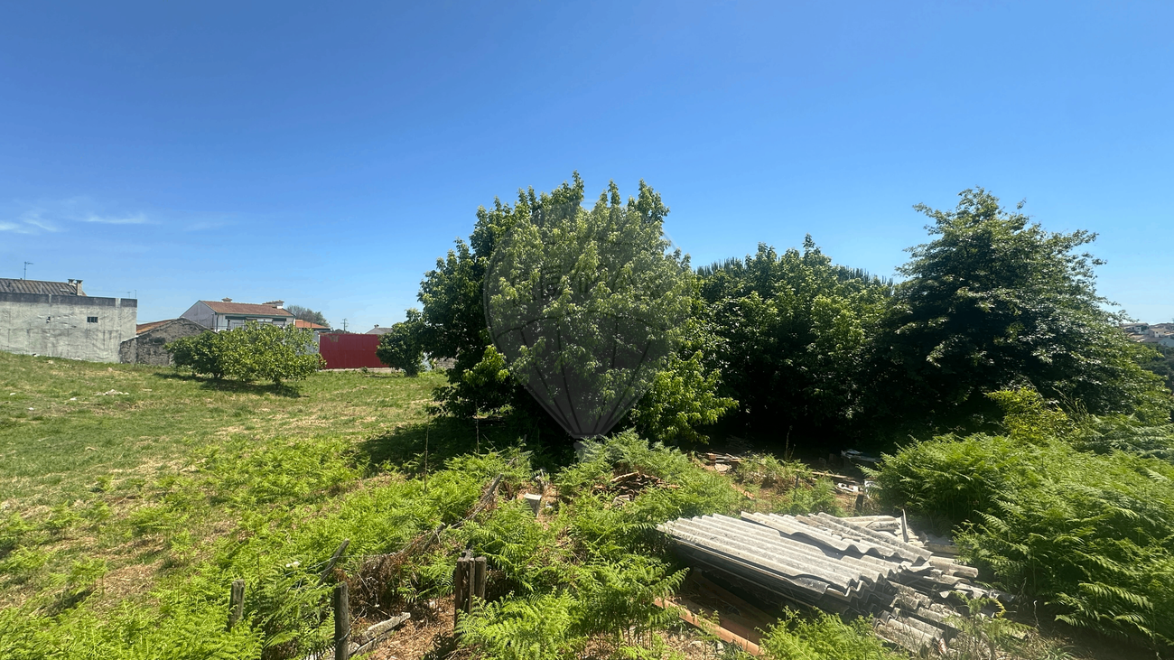 listing 123821036-455 picture-0