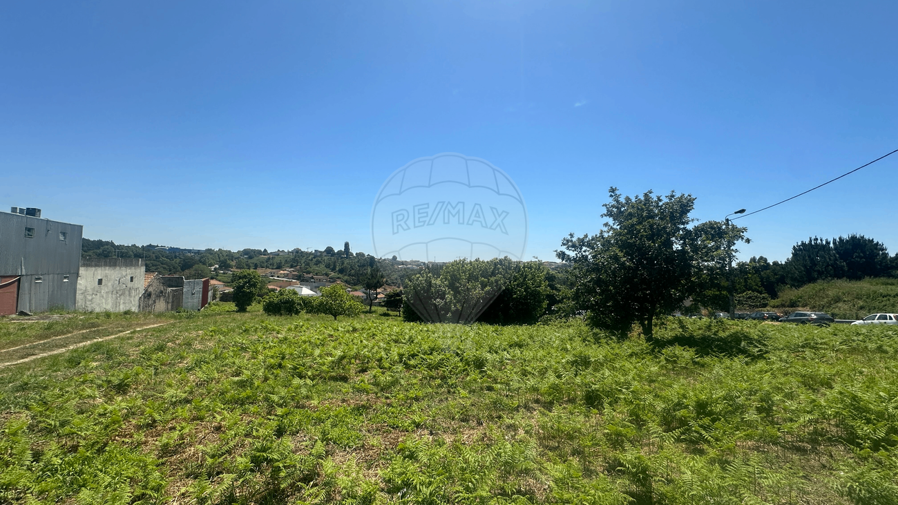 listing 123821036-455 picture-0