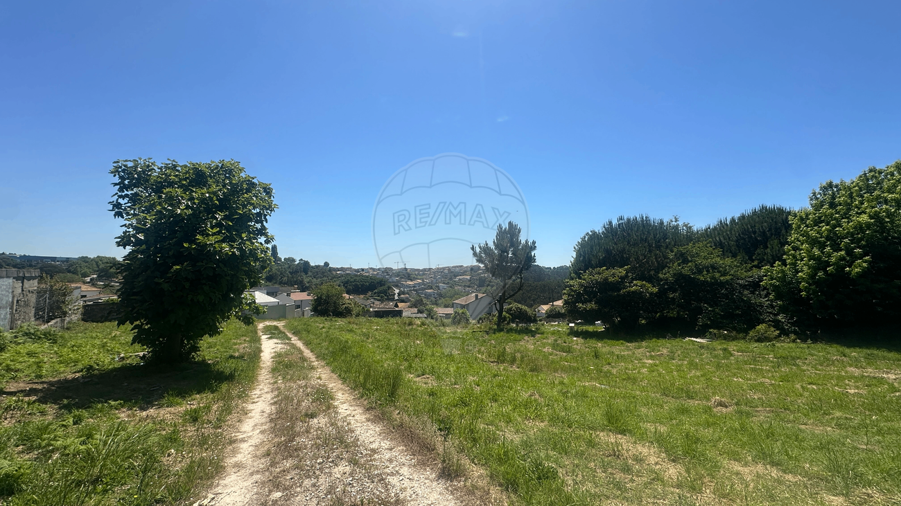 listing 123821036-455 picture-0