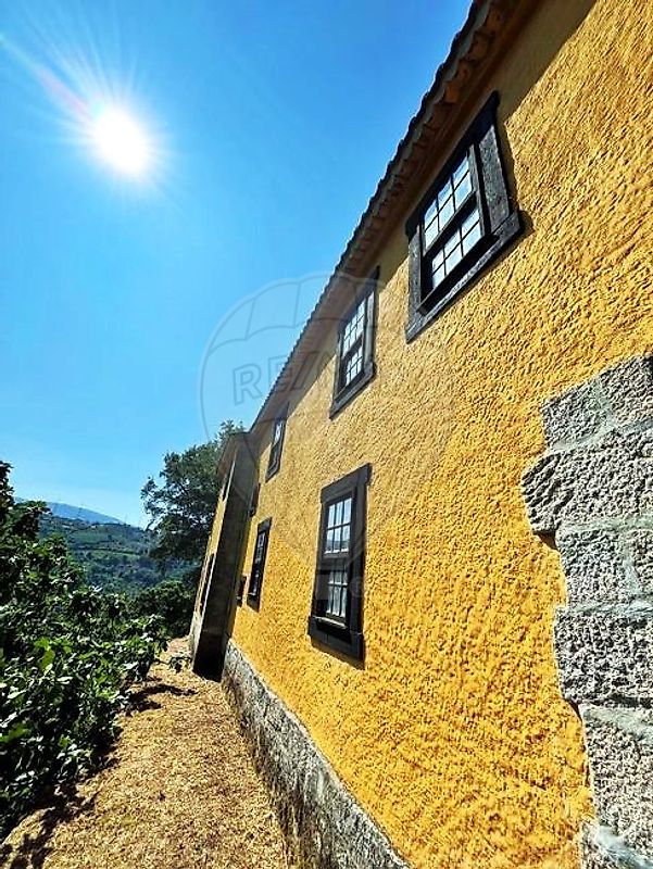 Quinta - Loivos da Ribeira e Tresouras, Baião, Porto