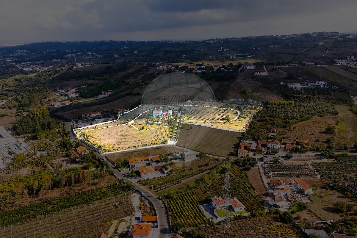 Moradia T3 à venda em Golpilheira, Batalha — foto 6