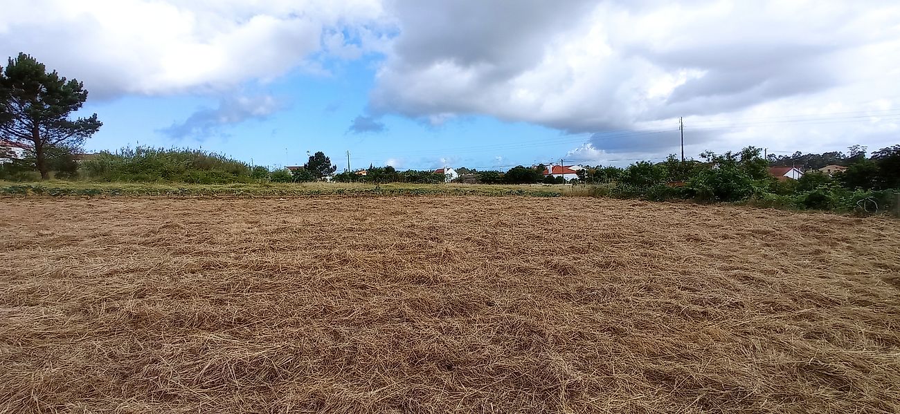 Terreno  à venda em Figueira da Foz