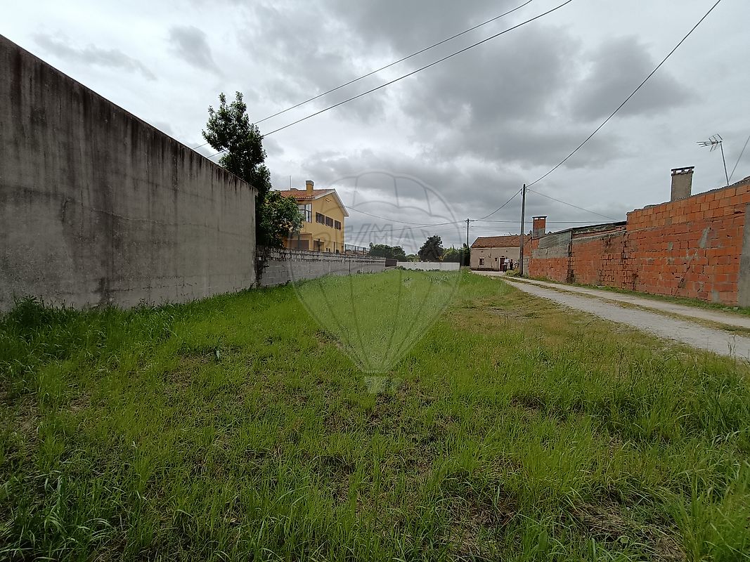 Terreno - Tocha, Cantanhede, Coimbra