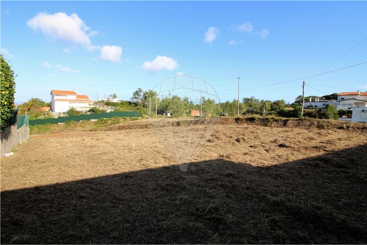 listing-picture-0