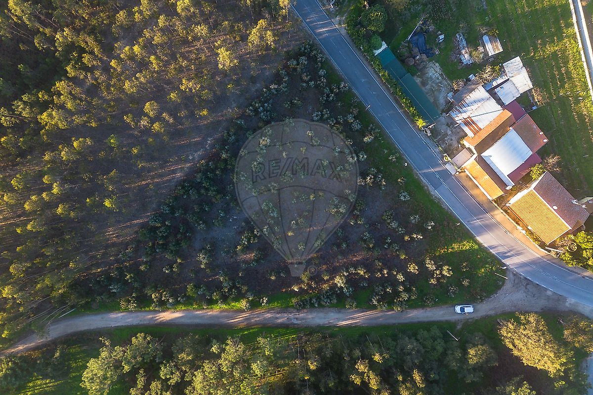 Terreno - Ferreira-a-Nova, Figueira da Foz, Coimbra