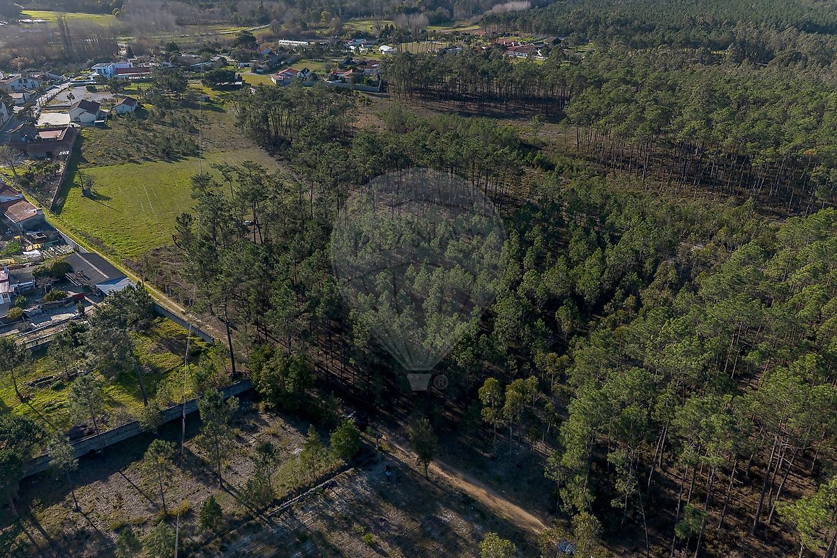 Terreno para venda