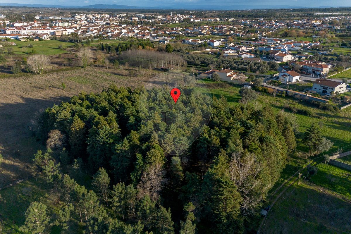 Terreno para venda