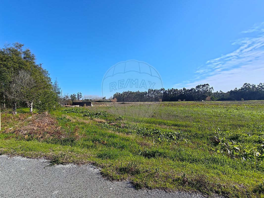 Moradia T2 à venda em Moinhos da Gândara, Figueira da Foz — foto 23