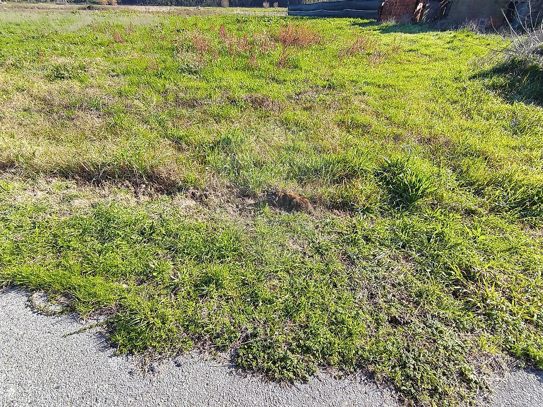Moradia T2 à venda em Moinhos da Gândara, Figueira da Foz — foto 28