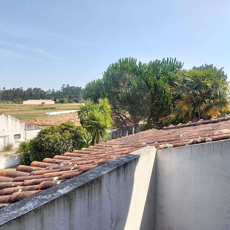 Moradia T3 à venda em Liceia, Montemor-o-Velho — foto 24