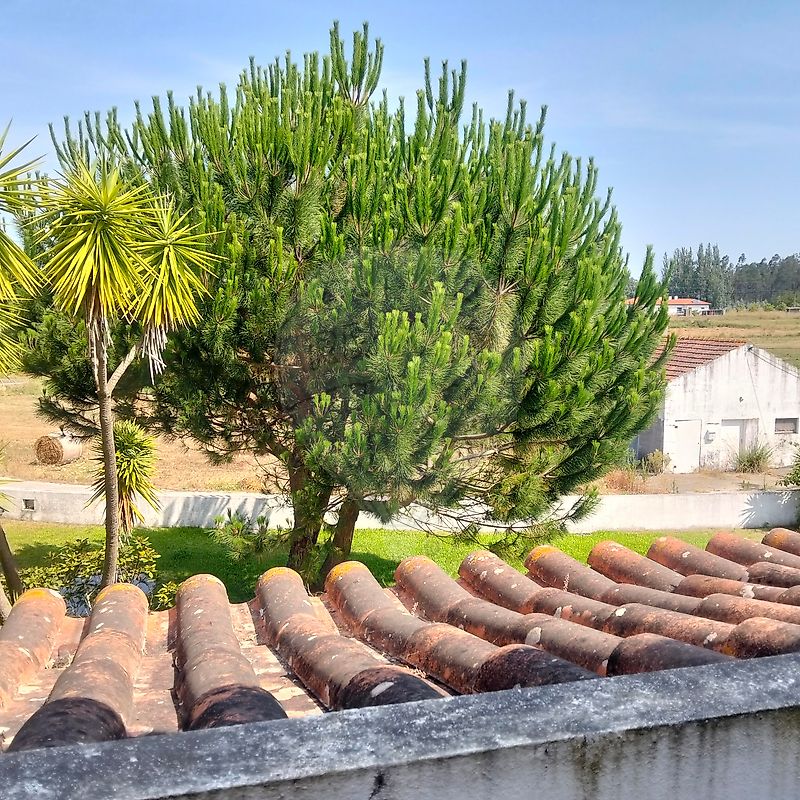 Moradia T3 à venda em Liceia, Montemor-o-Velho — foto 26