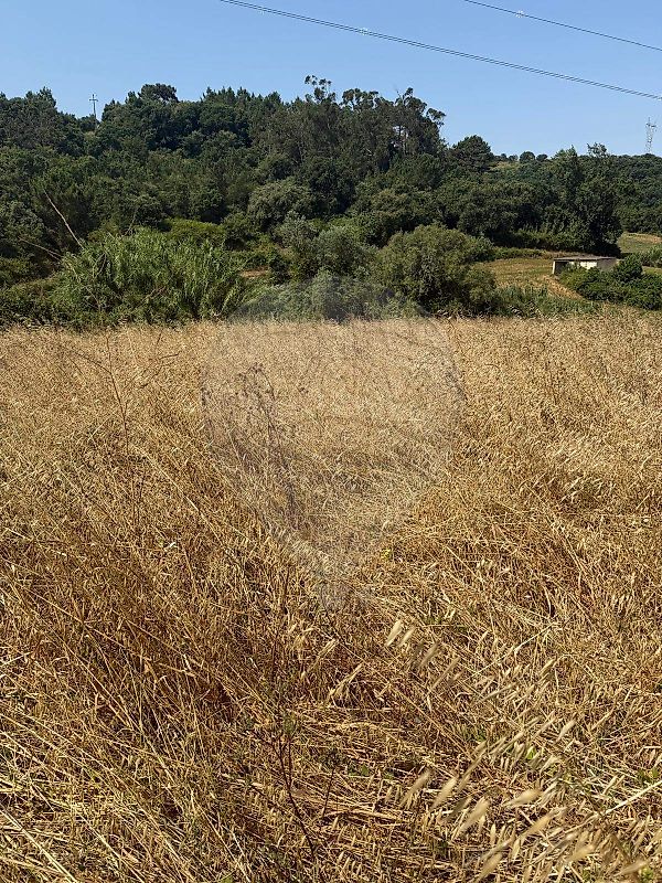 Terreno para venda