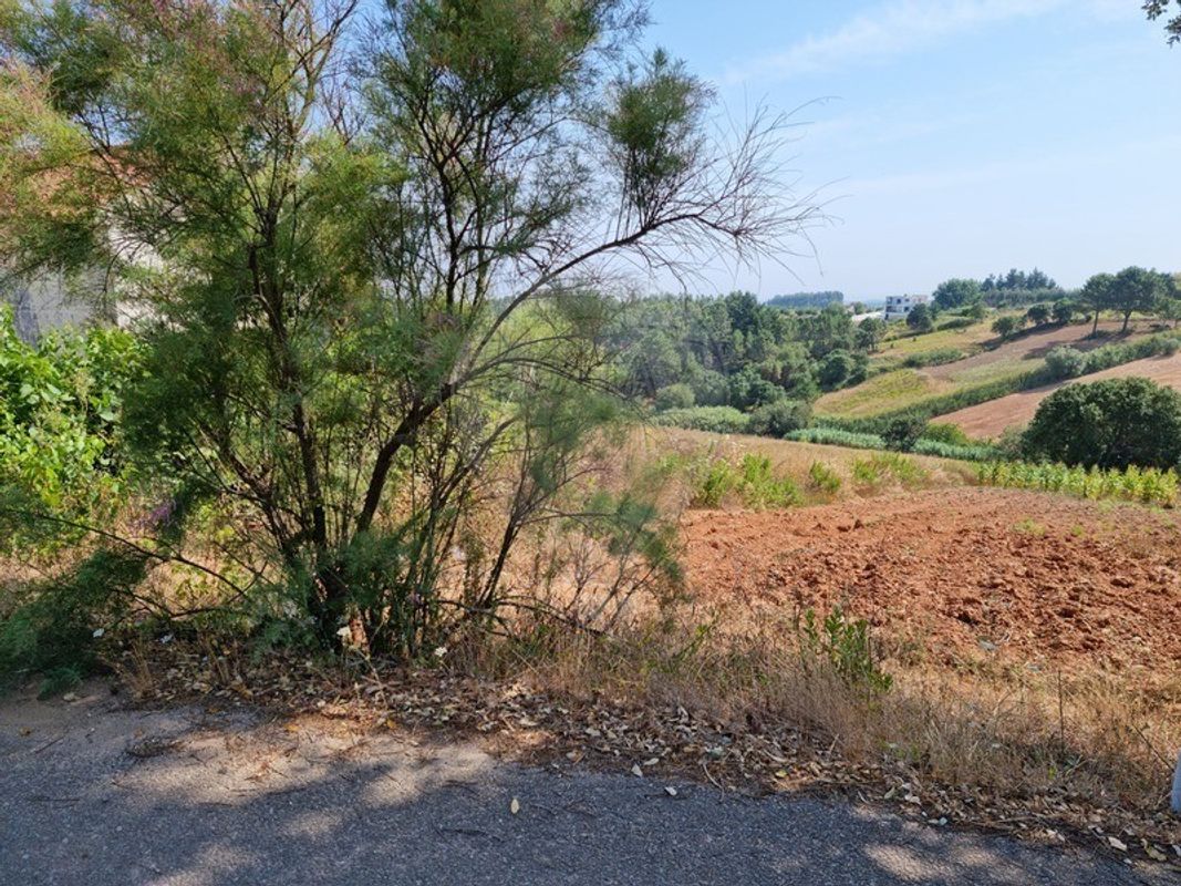Terreno para venda