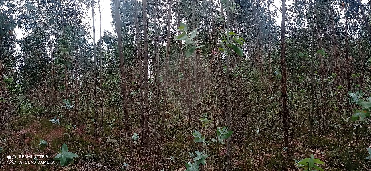 123871088-4