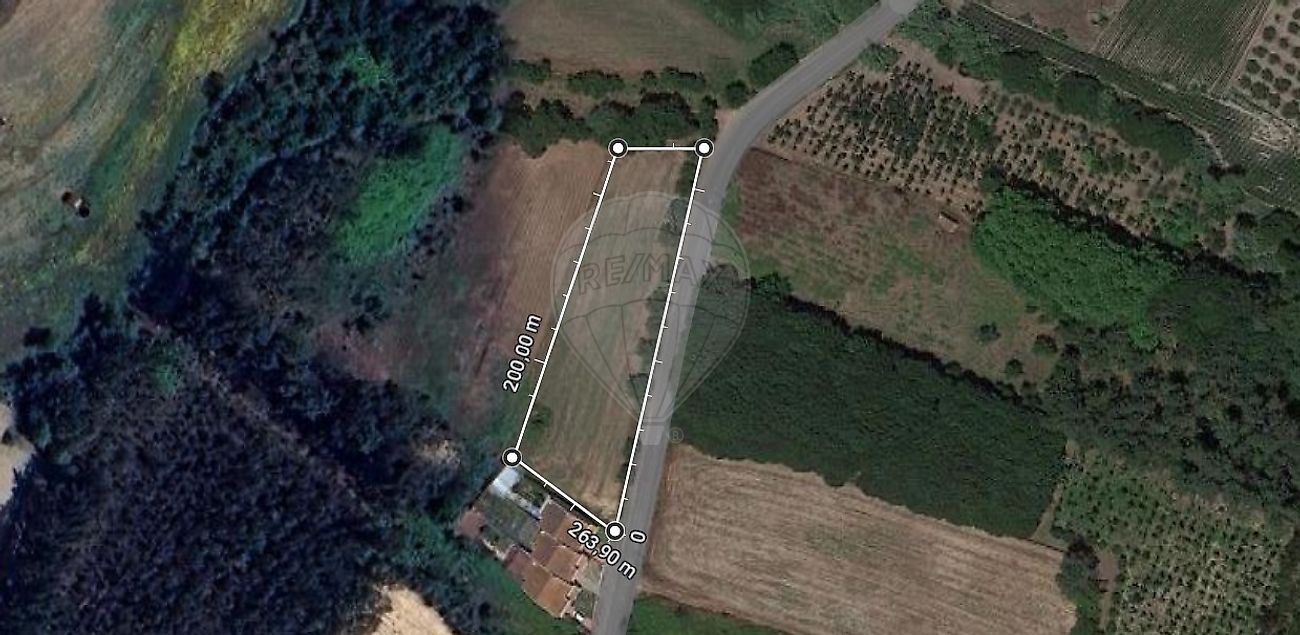 Land for sale in Oliveira do Bairro, Portugal — €80,000