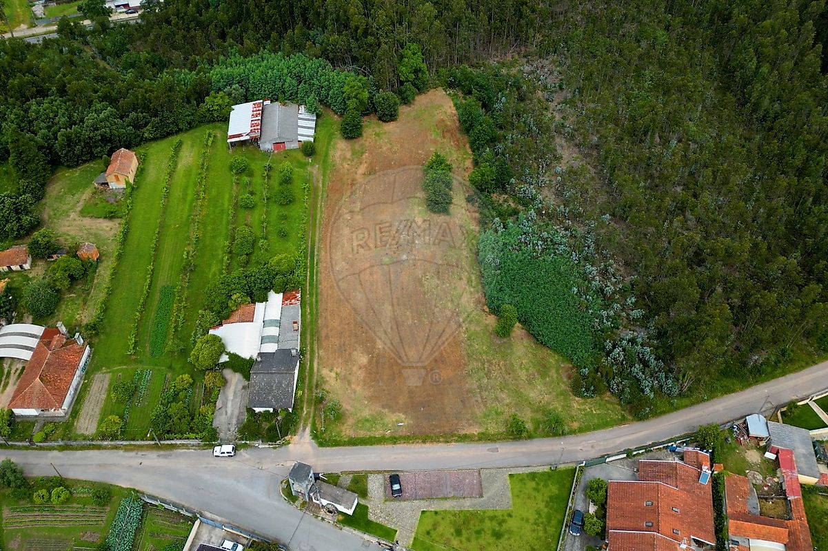Terreno - Macinhata do Vouga, Águeda, Aveiro