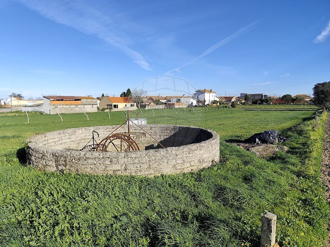 Terreno  à venda em Aveiro