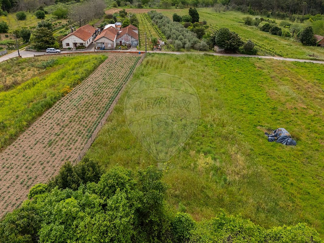 Moradia T1 à venda em Vilarinho do Bairro, Anadia — foto 3