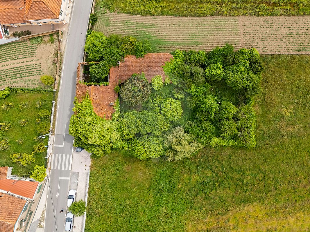 Moradia T1 à venda em Vilarinho do Bairro, Anadia — foto 4