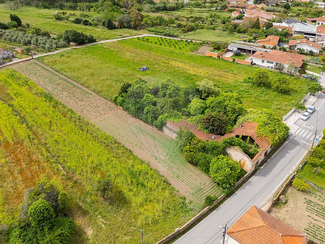 Moradia T1 à venda em Vilarinho do Bairro, Anadia — foto 8