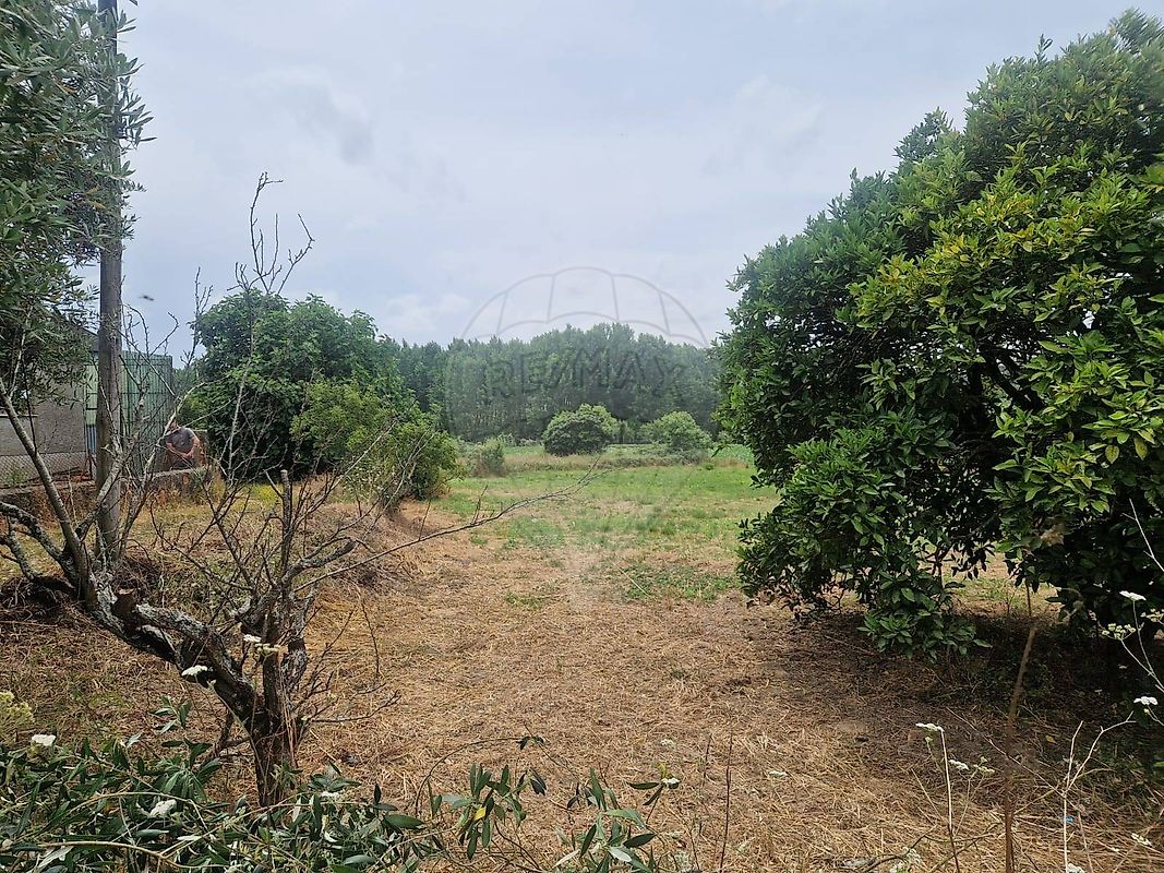 Terreno para venda