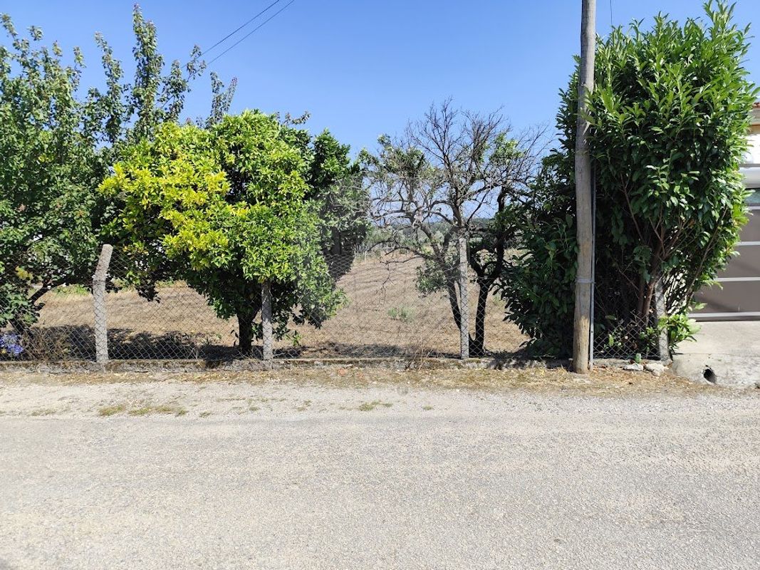 Terreno  para venda