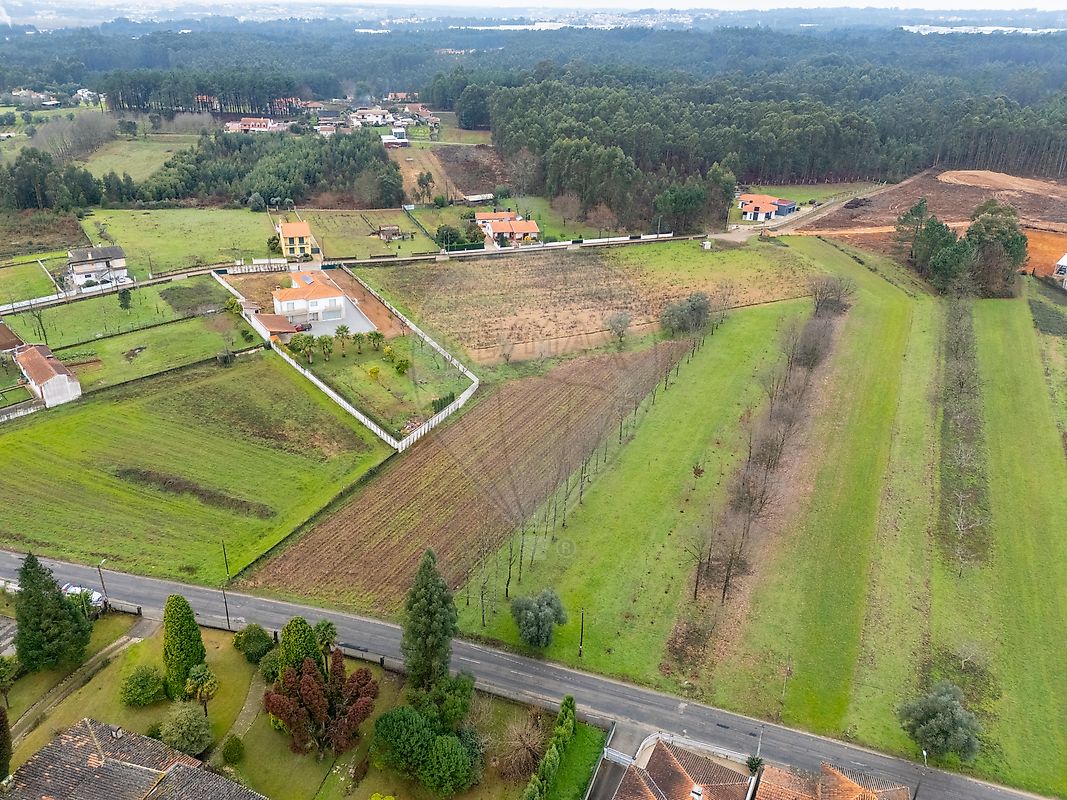 Terreno - Aguada de Cima, Águeda, Aveiro