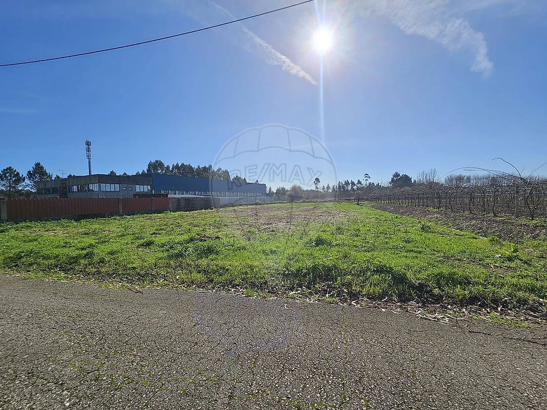 Terreno - Bustos, Troviscal e Mamarrosa, Oliveira do Bairro, Aveiro