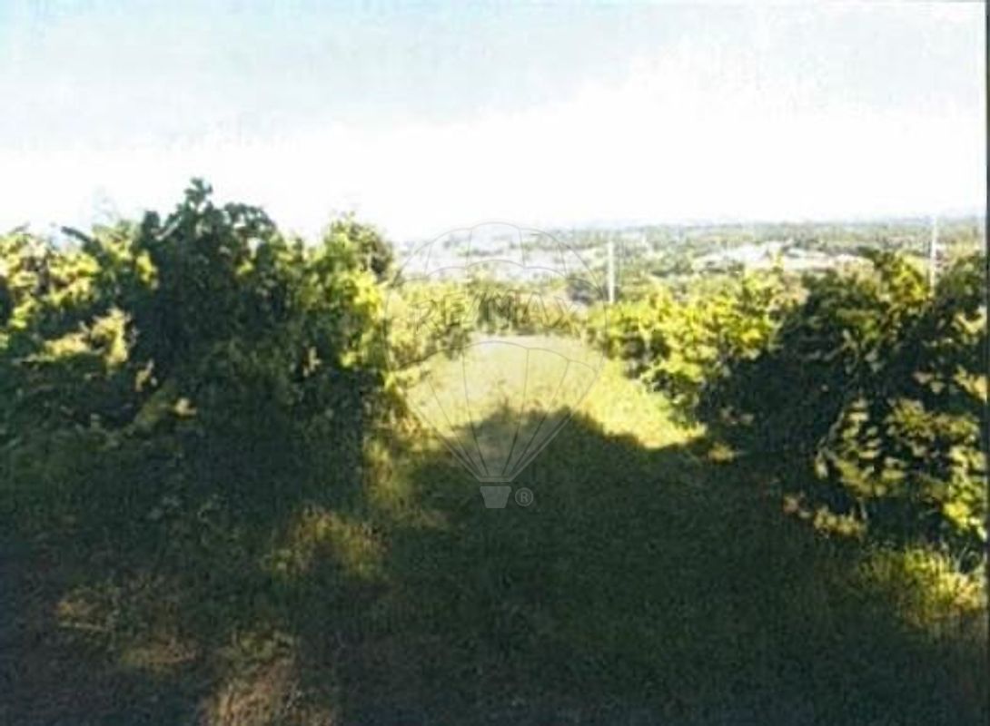 Terreno à venda em Águeda