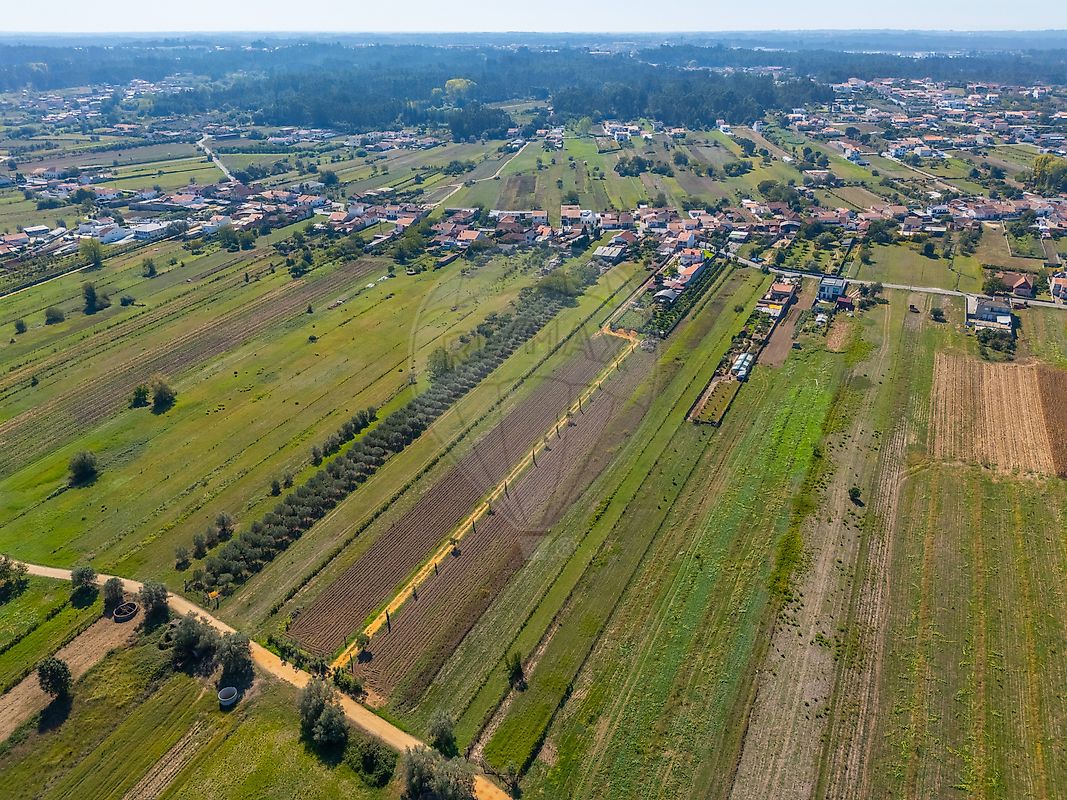 Moradia T3 à venda em Fermentelos, Águeda — foto 34