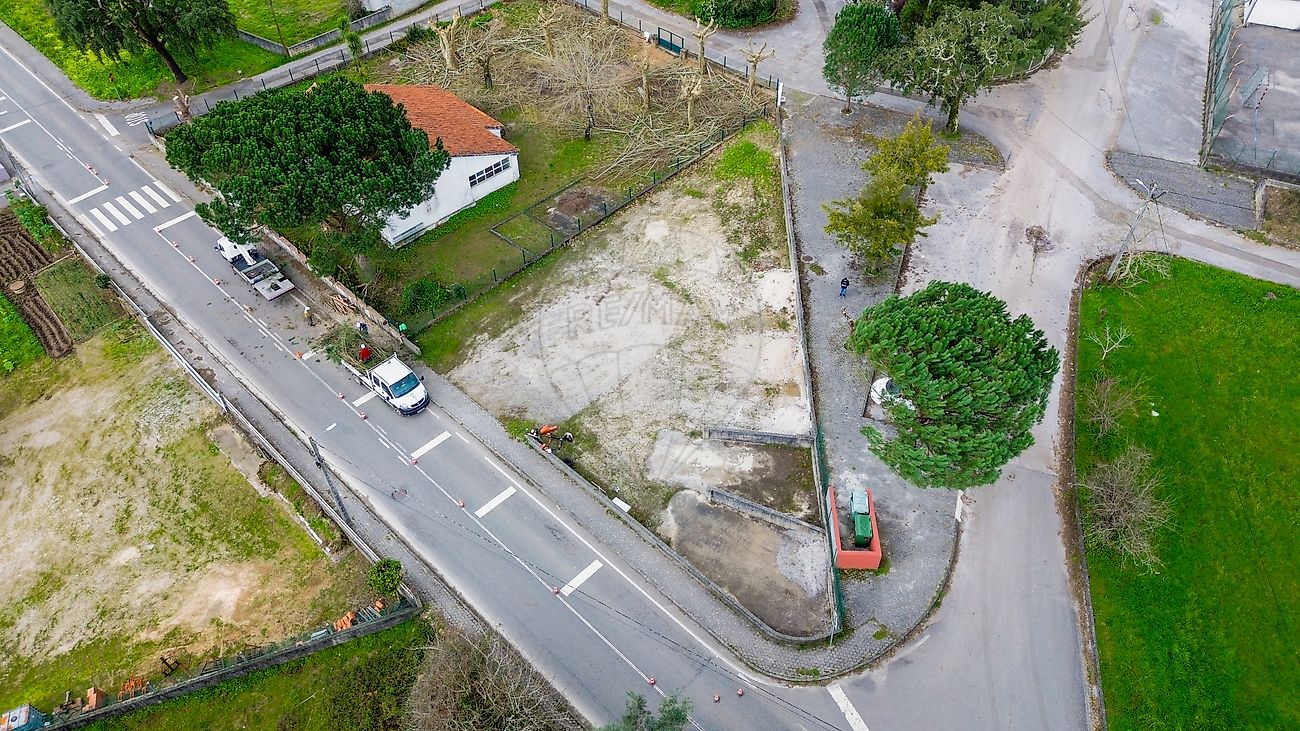 Terreno - Avelãs de Cima, Anadia, Aveiro
