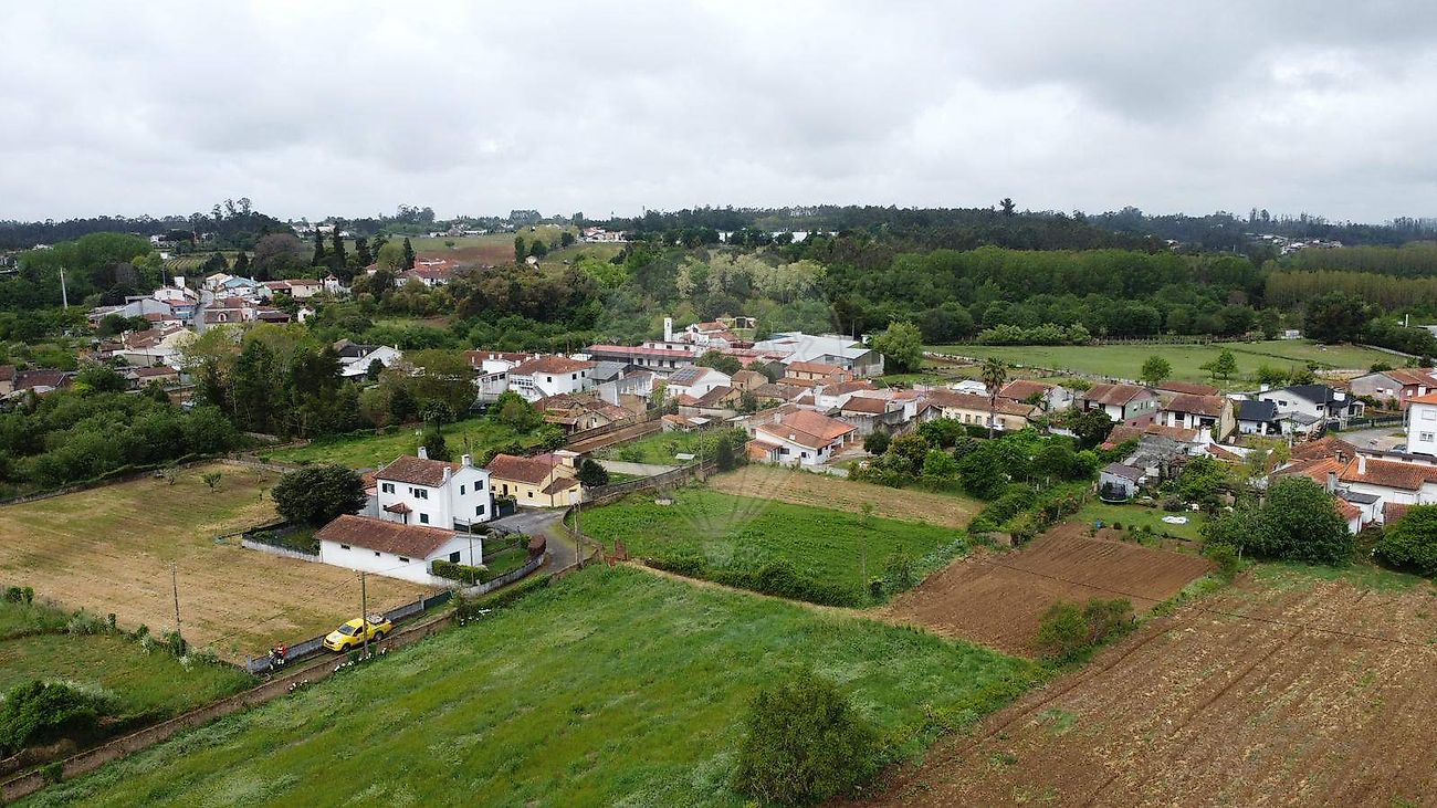 Terreno - Valongo do Vouga, Águeda, Aveiro